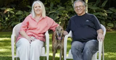 From Foster to Forever: A Greyhound Adoption Success Story in NSW