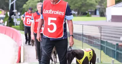 Greyhound Racing NSW Boosts Travel Subsidies by 66% Amid Fuel Price Surge