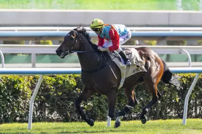 Ka Ying Rising to Defend $20M Everest After 20th Straight Win