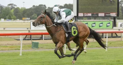 Kembla Grange tips: Beauty Swift and Glastonbury Girl set for Wednesday