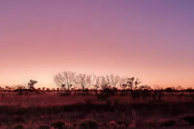 Litchfield Minerals Completes Drilling at Oonagalabi, Eyes Silver Valley Potential