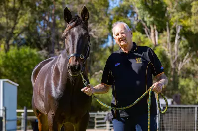 Magnificent Storm and Ray Williams: A Perfect Racing Partnership