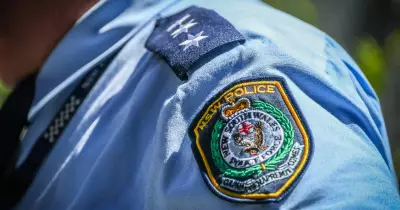 Man assaulted and robbed after rescuing abandoned dog in forest