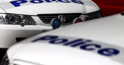 Man Pleads Guilty to Cocaine in System, Avoids Jail Sentence in Court