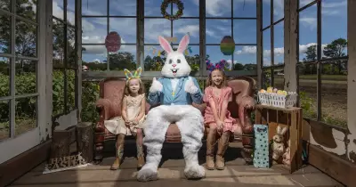 Medowie Farm's Little Tin Shed Thrives Amid Hot Easter Friday Conditions