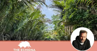 Middle East Conflict: How Conflicting Reports Create News Whiplash