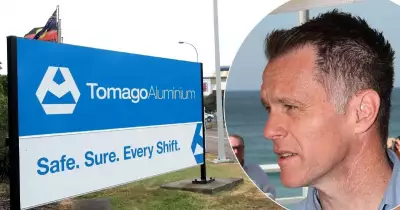 NSW Government Urged to Accept Tomago Aluminium Rescue Deal Terms