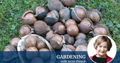 Olga's Childhood Tales: A Chambermaid's Morning Tea Memories