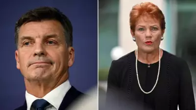 One Nation's Polling Surge Cools as Global Instability Reshapes Voter Sentiment