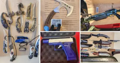 Police Seize Machetes, Knives, and Guns in Major Illawarra Weapon Sweep
