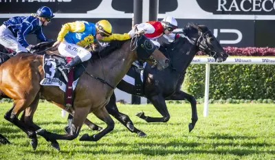 Quokka Winner Jigsaw Spelled After Seventh Straight Win