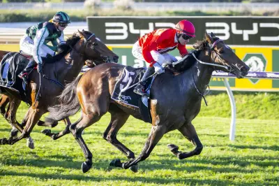 Rissoles Triumphs in Sheila Gwynne Classic at Ascot