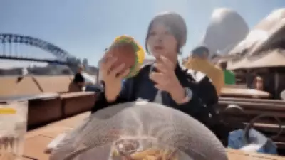 Seagull's Bold Burger Snatch at Sydney Opera Bar Leaves Diner Stunned