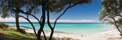 Shark Detection System Down at Meelup Beach, Swimmers Warned