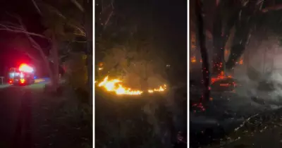 Shellharbour Arson Fears as Suspicious Bushfires Threaten Homes