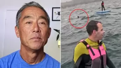 Surfer Chased by 4-Metre Shark in Terrifying Ocean Hunt