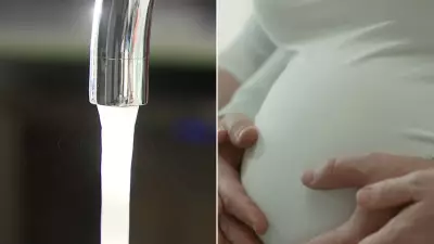 Tap Water Chemicals Linked to Fertility Decline, Study Warns