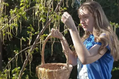 The Decline of April Fools' Day Media Pranks: From Spaghetti Harvests to Modern Realities