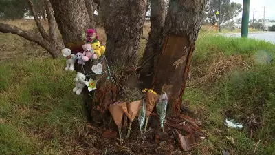 Two Young Girls Die in Hospital After WA Car Crash, Driver Injured