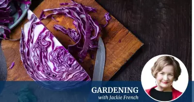 University Survival: The Red Cabbage and Rice Diet of Decades Past