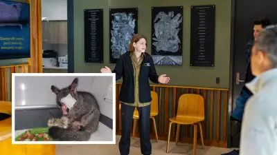 WA Wildlife Hospital Marks Fifth Birthday with Over 32,000 Animals Treated