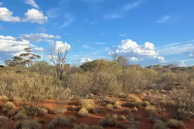 Western Mines Secures $250K Grant for Mulga Tank Seismic Survey
