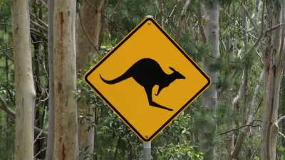 Wildlife Collisions in Geelong Surge 87% Amid Urban Growth Boom