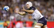 ACT Brumbies Clash with Highlanders in Super Rugby Pacific Showdown