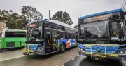 ACT Government Slashes Public Transport Fares for Frequent Commuters