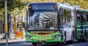 ACT Greens' Transport Cap Criticized as Underwhelming and MyWay Dependent