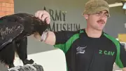 Army Opens Jezzine Barracks Military Museum for Public Open Day in Townsville