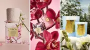 Best Luxury Candles to Gift This Mother's Day 2024