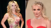 Britney Spears Enters Rehab After DUI Arrest in California