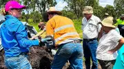Cairns Farm Converts 10,000 Tonnes of Waste into Fertiliser, Cutting Costs