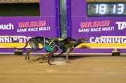 Canya Excite Me Triumphs in Sandgroper Crown at Cannington