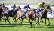 Chris Parnham Secures Key Ride on Luana Miss for The Quokka Stakes