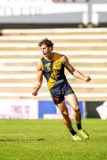 Claremont Ends South Fremantle's Winning Streak in Thrilling WAFL Clash