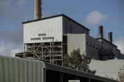Collie's Premier Coal Rumored to Slash Dozens of Jobs at Simone Grogan Site