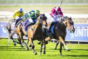 Cosmic Crusader to Launch Melbourne Racing Career Under New Trainer