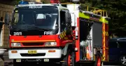 Dead Dog Found After Fire Destroys Merewether Home in Newcastle