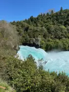 Discover New Zealand's North Island: 7 Unforgettable Spring Experiences