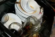 Disgusting house guests leave skidmarks and sodden towels