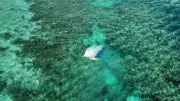 Dramatic Helicopter Rescue Saves Three Stranded After Boat Sinks on Great Barrier Reef