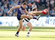 Former AFL Forward Josh Deluca Joins North Beach Tigers for 2026 Season