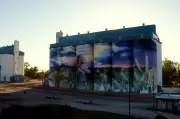 From Silo Art to Field Days: Agtown Tourism Boom in SA