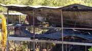 Human Remains Found After Devastating House Fire on Remote Queensland Property