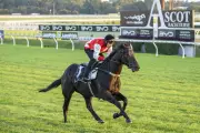 Jigsaw's Quokka Stakes Run Marks Final Piece in Racing Renaissance