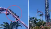 Movie World Rollercoaster Strands Riders in Midair on Gold Coast
