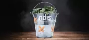 NDIS System Exploited by Bogus Providers and Some Parents of Autistic Kids