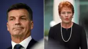 One Nation's Polling Surge Cools as Global Instability Reshapes Voter Sentiment